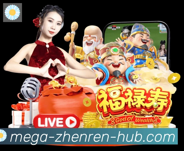 奖项证书